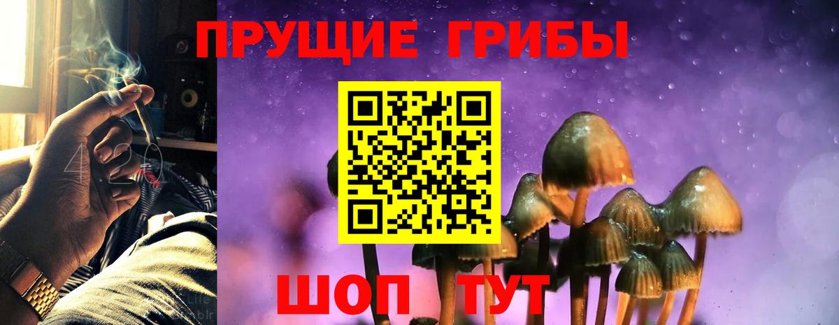 Галлюциногенные грибы Psilocybe  Вход с VPN  цены   Прохладный 